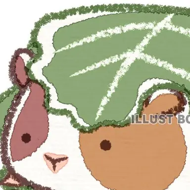 Profile image of ヨンジェ