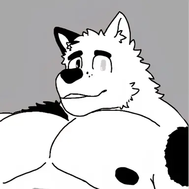 Profile image of Swido