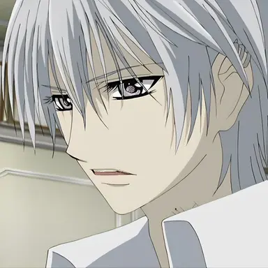 Profile image of Zero Kiryu