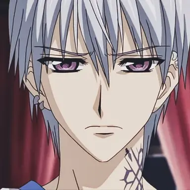 Profile image of Zero Kiryu