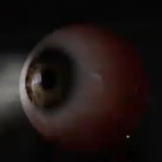 Profile image of 감시자