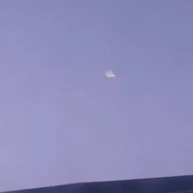 Profile image of 이핑구