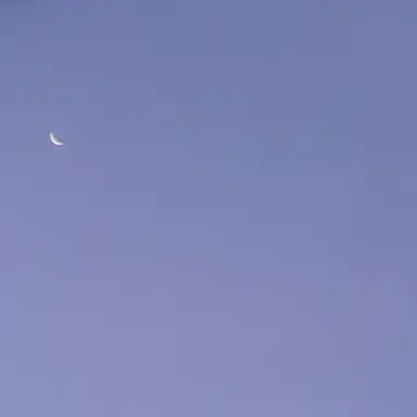 Profile image of 타코아끼