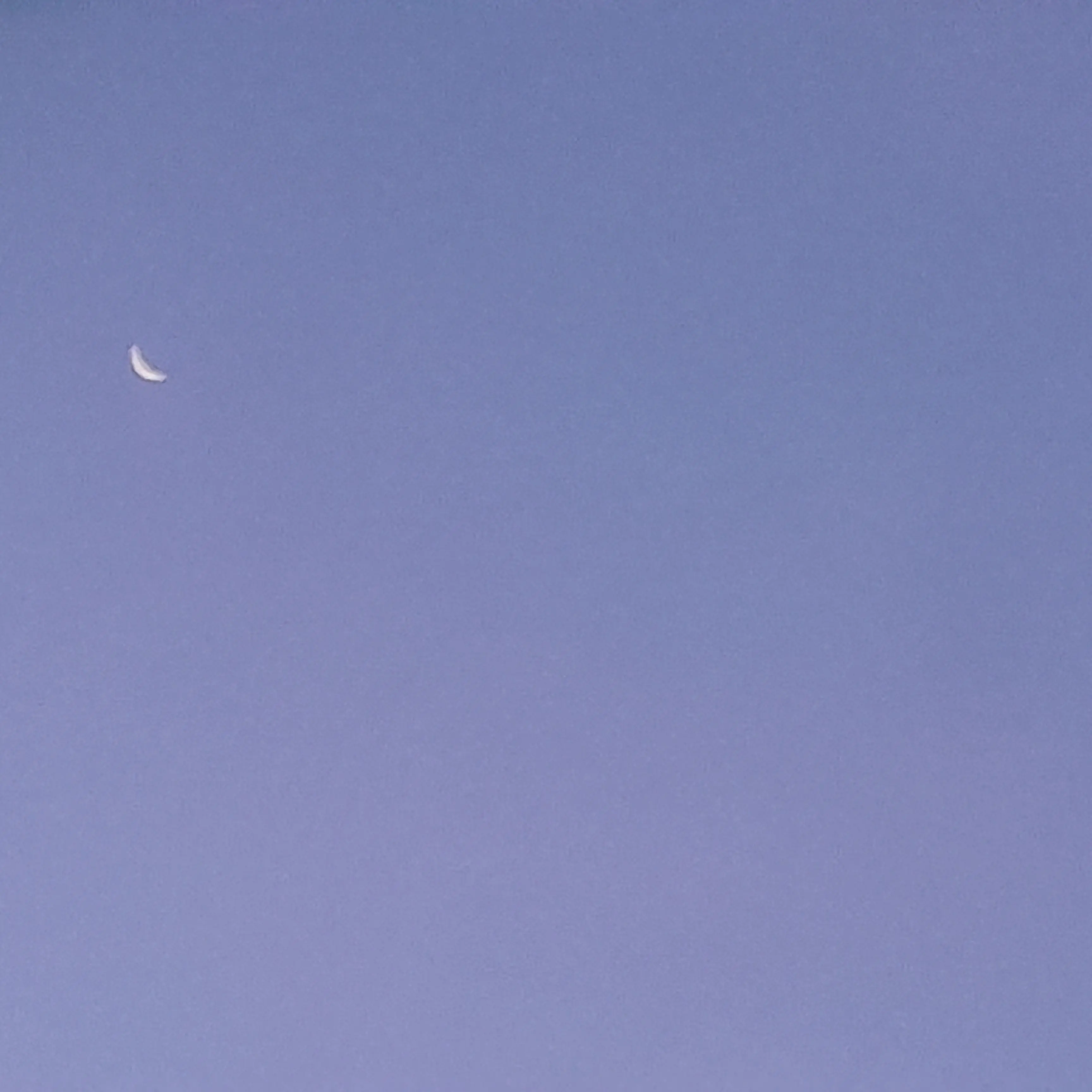 WickedSalt7451의 ㅋㅋ움?