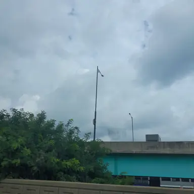 Profile image of 채스터