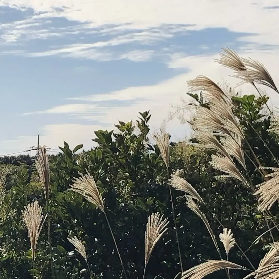 BitingLake1317의 한유진