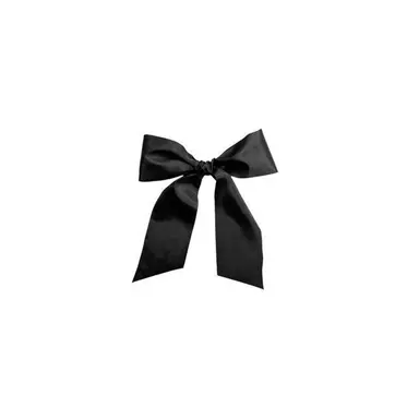 Profile image of りく