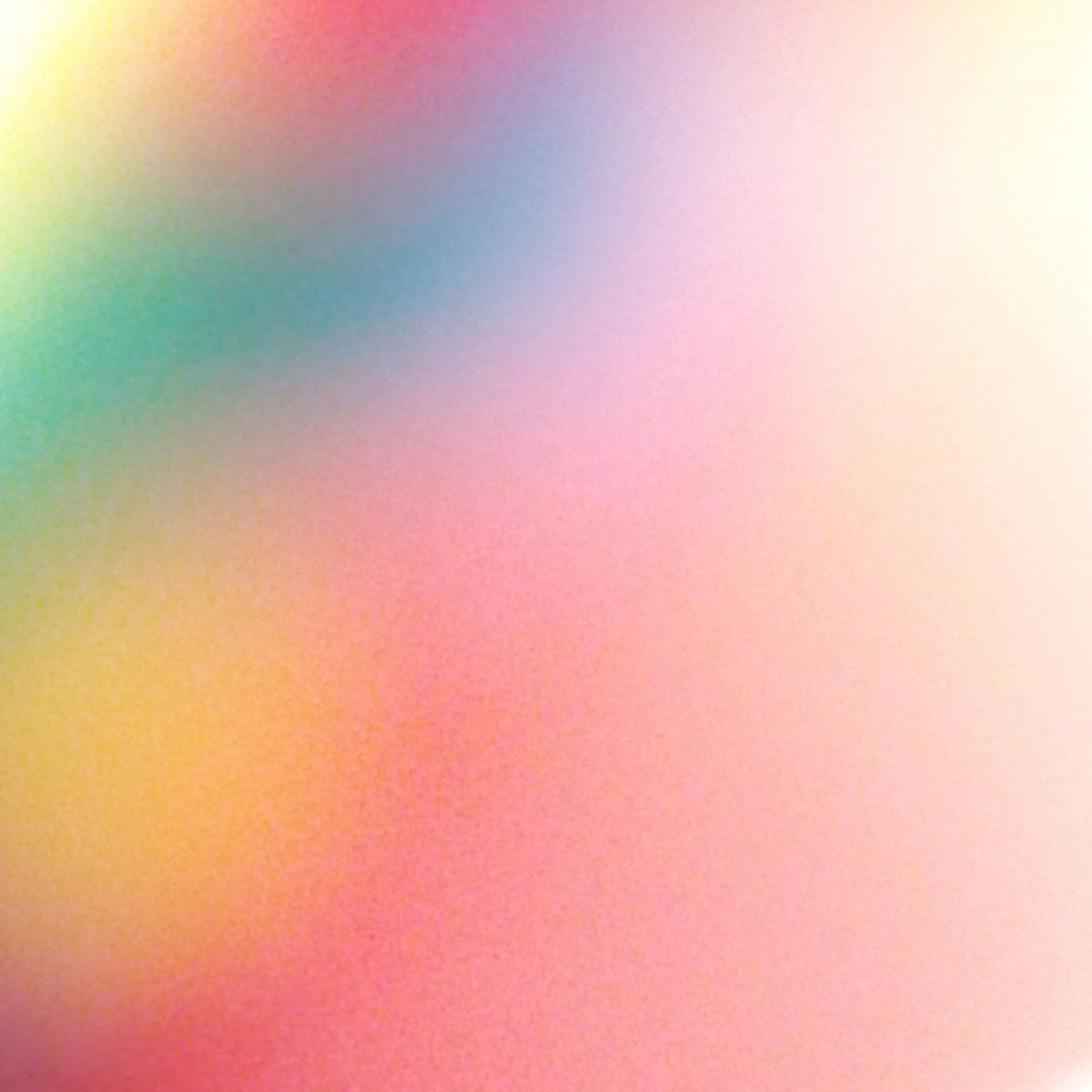 PuristGar2646의 7번째 멤버로 탈락한 나