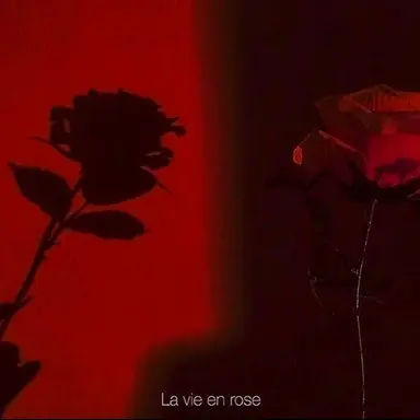 Profile image of 감J