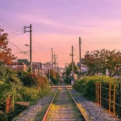 CurvedJoke5698의 송하영