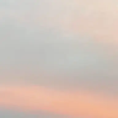 Profile image of ボン