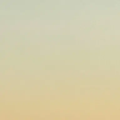 Profile image of シンコ