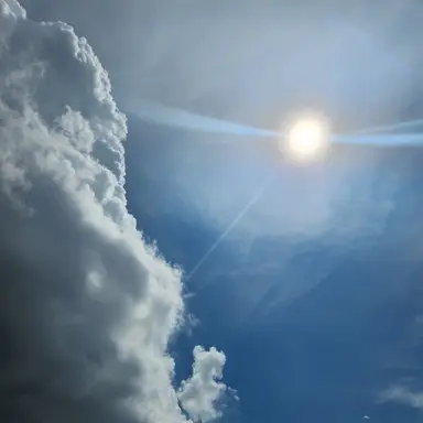 Profile image of 슾속 아이