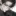 김서준