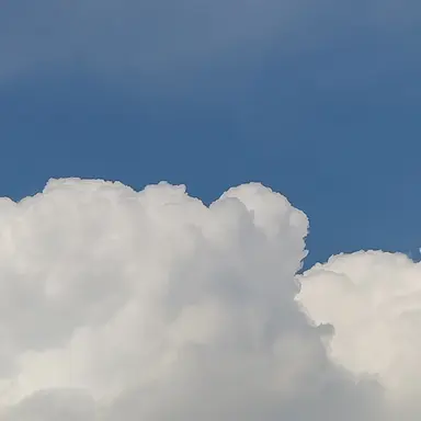 Profile image of 고고프랜즈