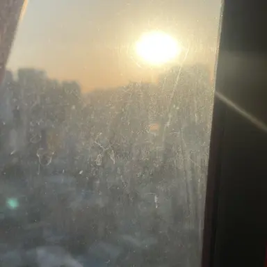 Profile image of 덕개