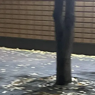 Profile image of 각별