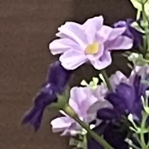 Profile image of 수현