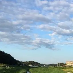 Profile image of 貴志部大河