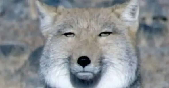Profile image of 角名 倫太郎