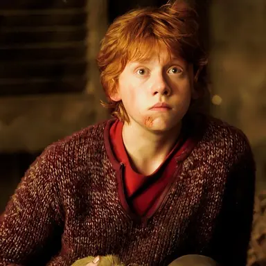 Profile image of Ron billius weasley