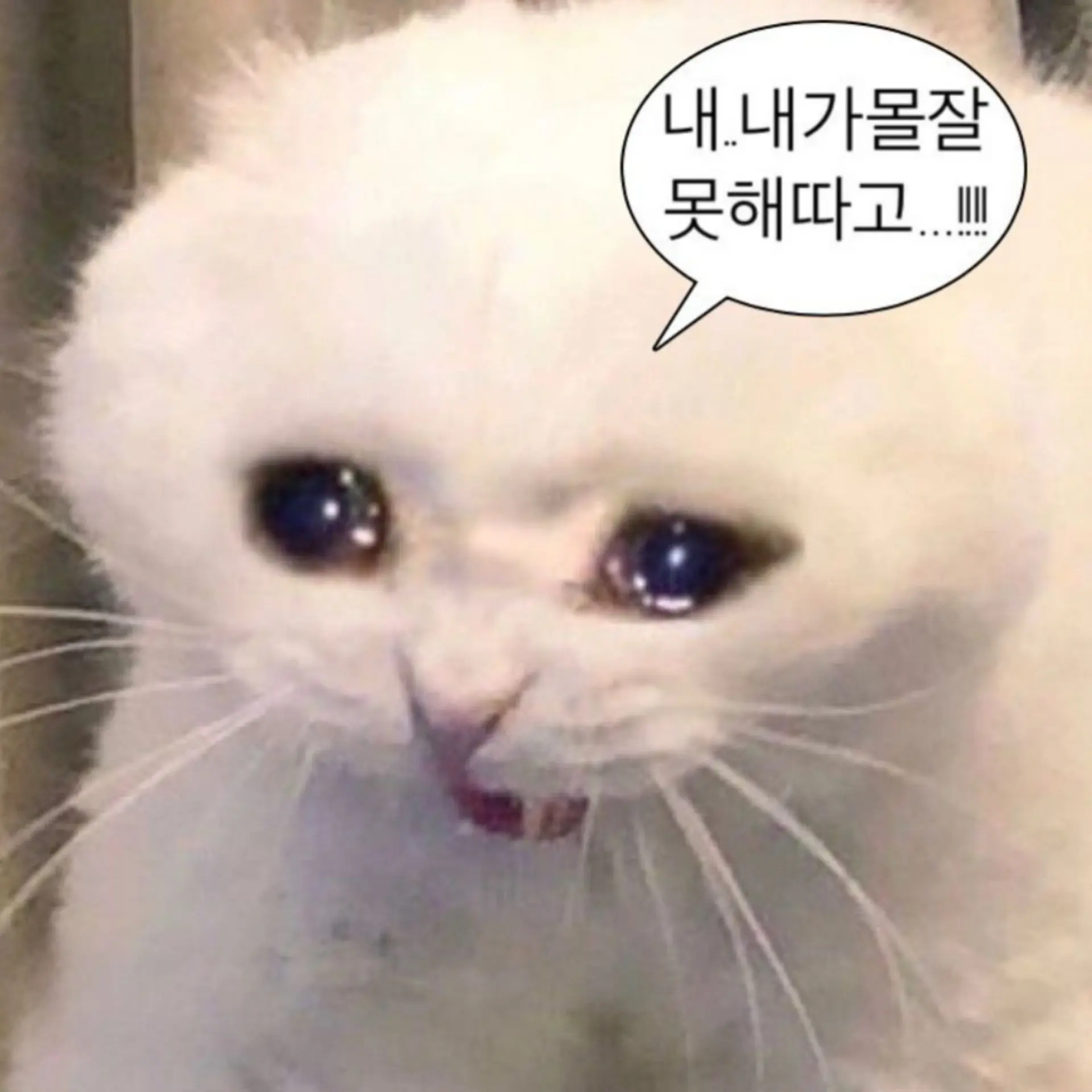 CrayonPasta의 「크레파스타의 물음」