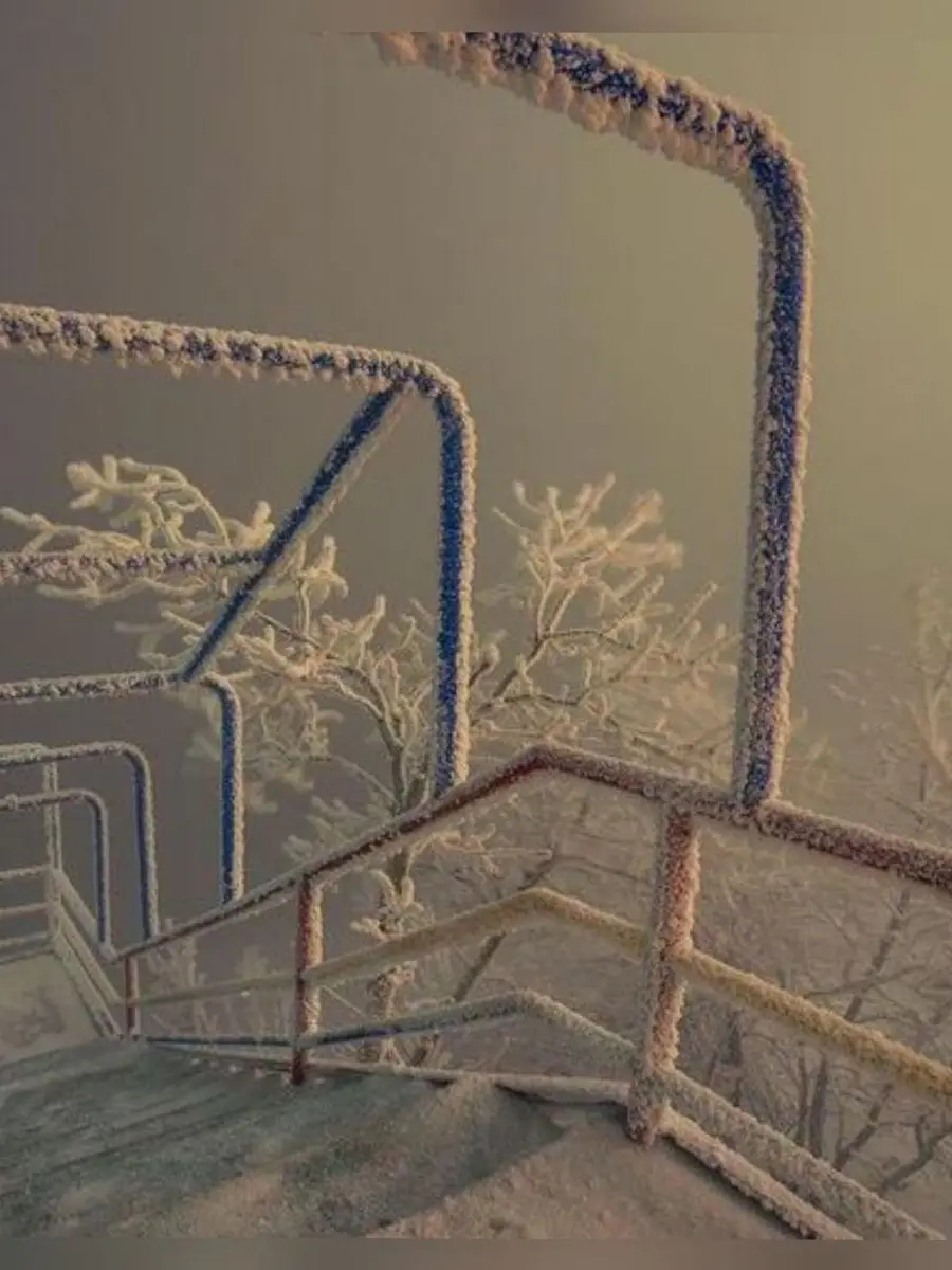 spring.winter의 정 공룡