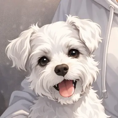 Profile image of ノン