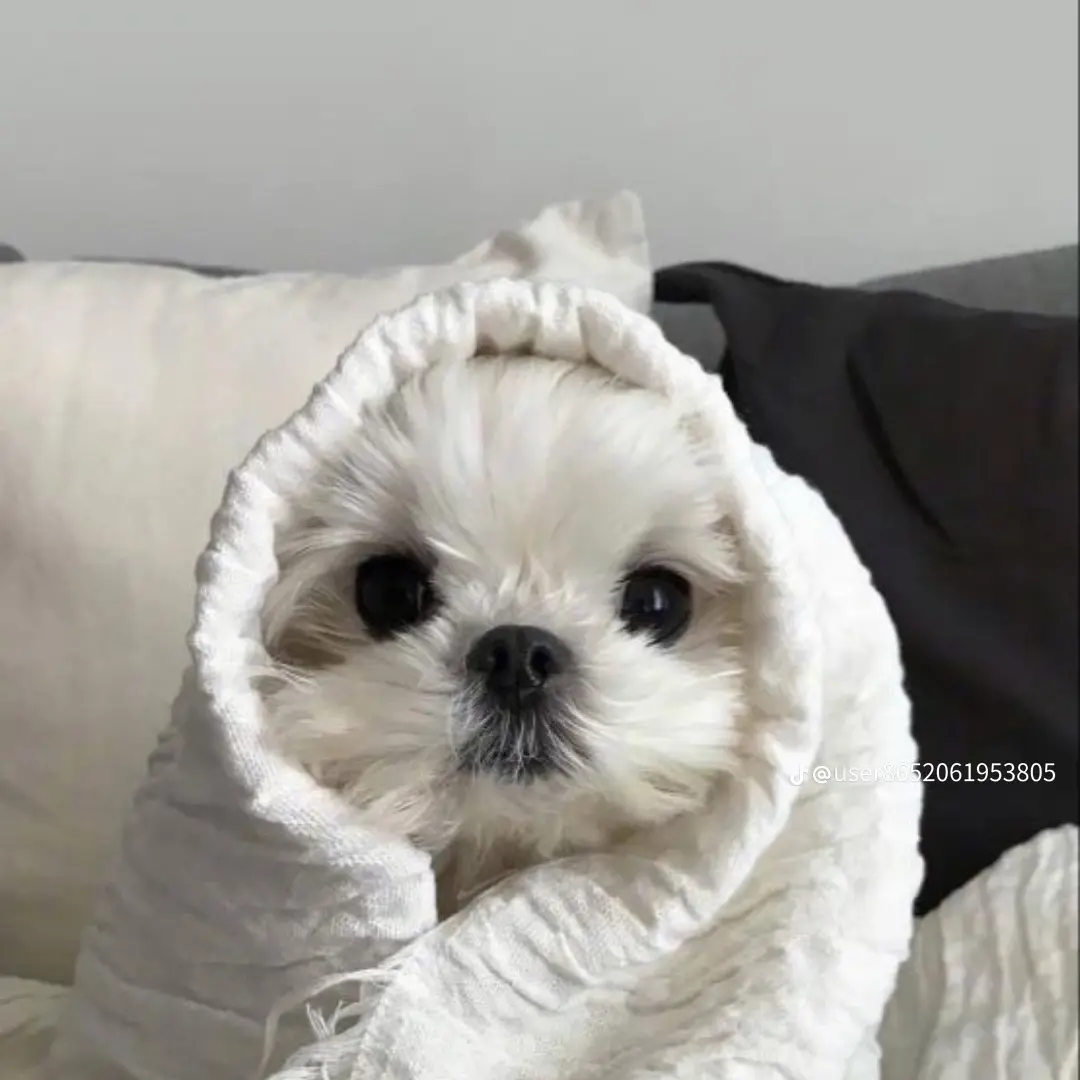 WaryPolar6251의 크래비티