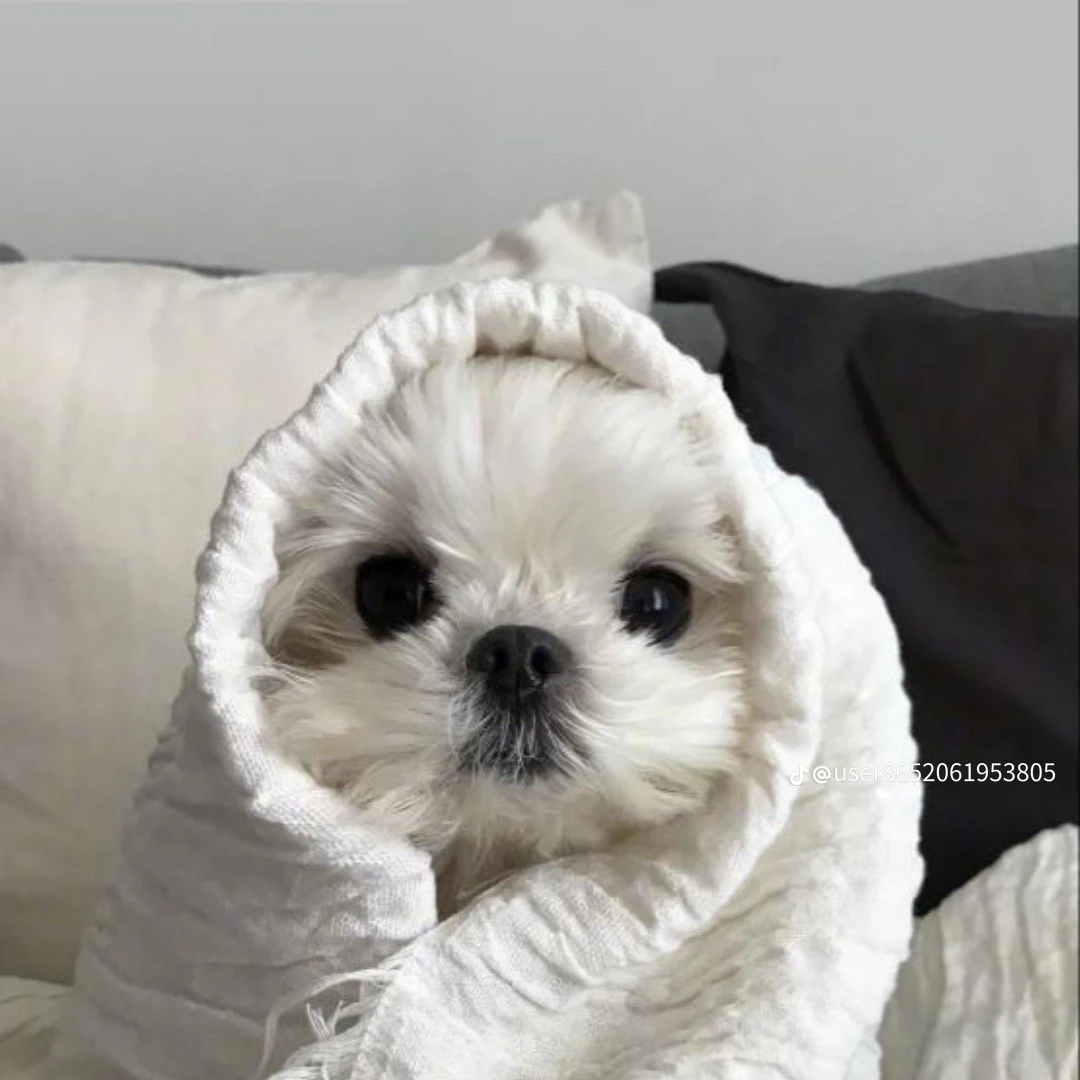 크래비티