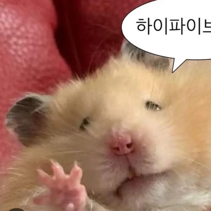 ThinCurry8771의 지환.도준.서준.영준.
