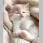にゃこ