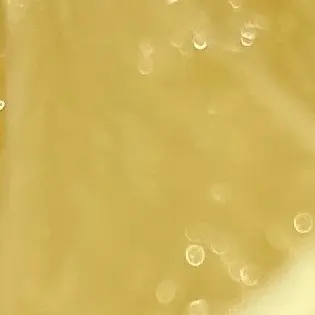 Profile image of 通形 ミリオ