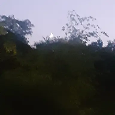 Profile image of 유이설