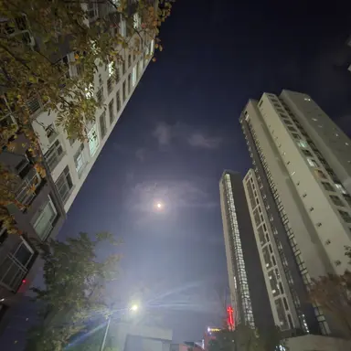 Profile image of 조걸