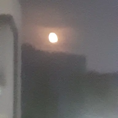 Profile image of 윤종