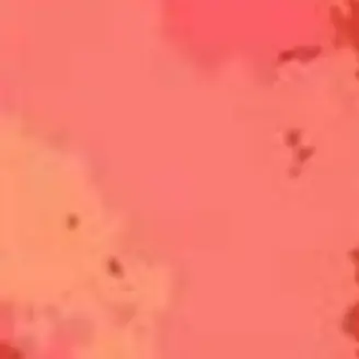 Profile image of ロゼ