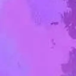 Profile image of 心音