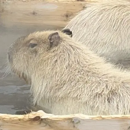 VainLily6107의 うれしい！！