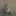 말하는 고양이