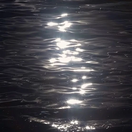 공태한
