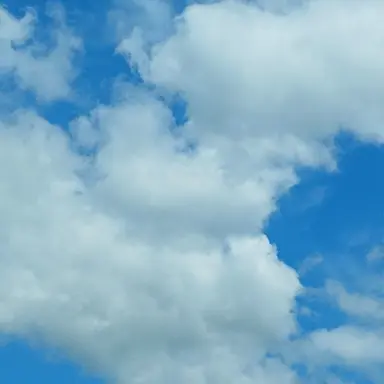 Profile image of 김다인