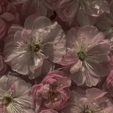 Profile image of 변서영