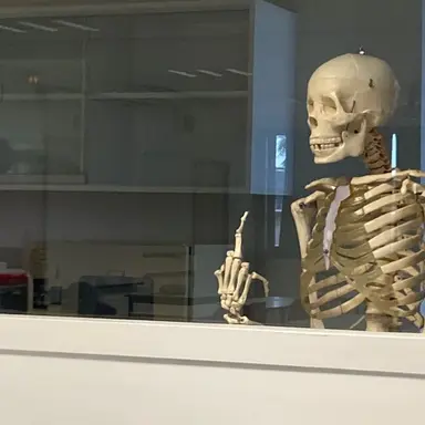 Profile image of 신예준