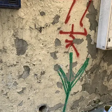 Profile image of 이서은