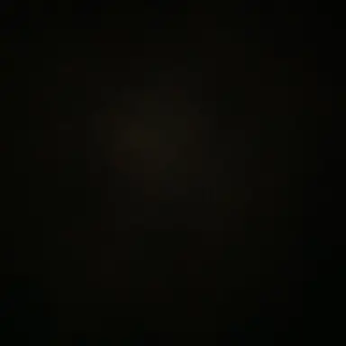 Profile image of Niko