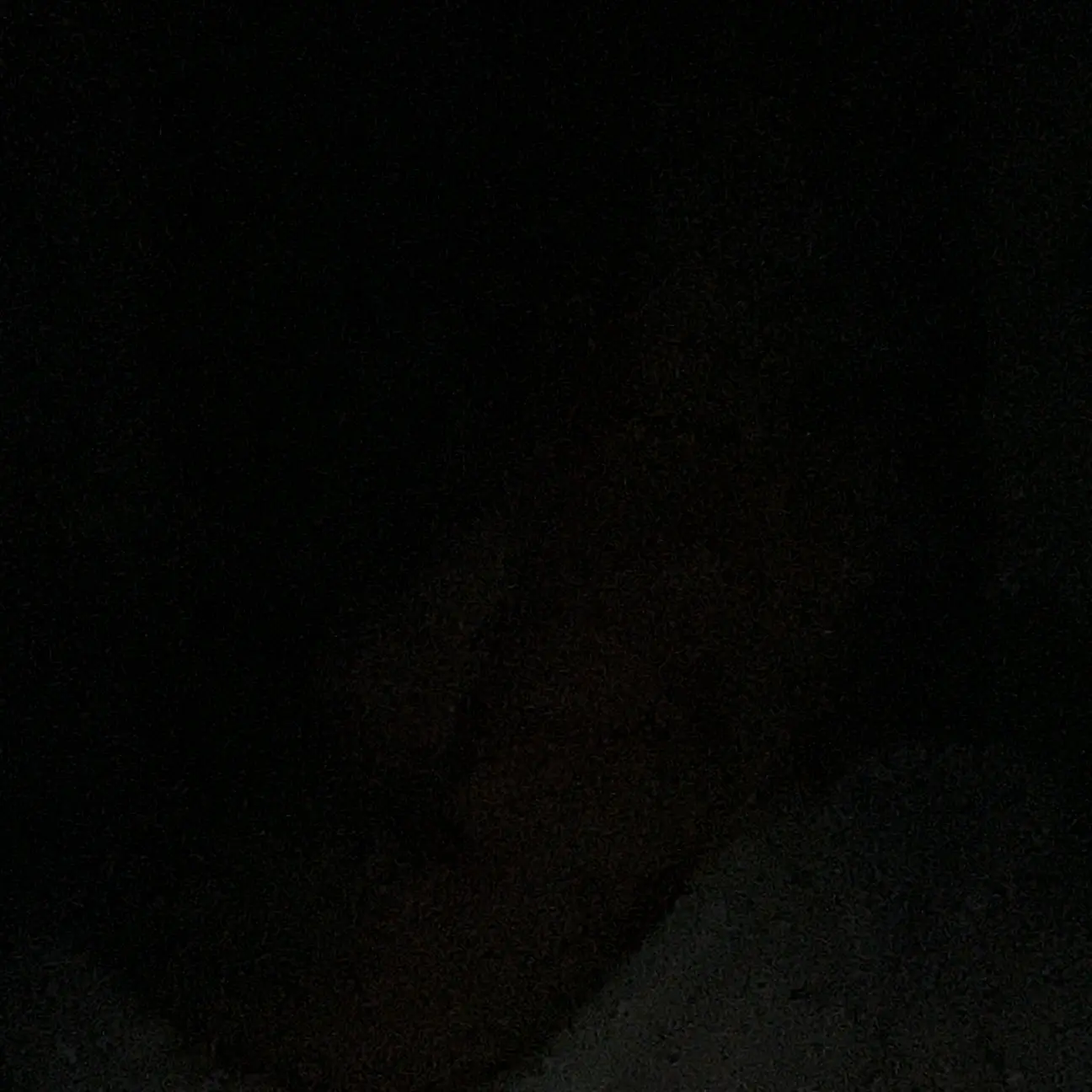 eisdlsepdy의 츠시마 슈지