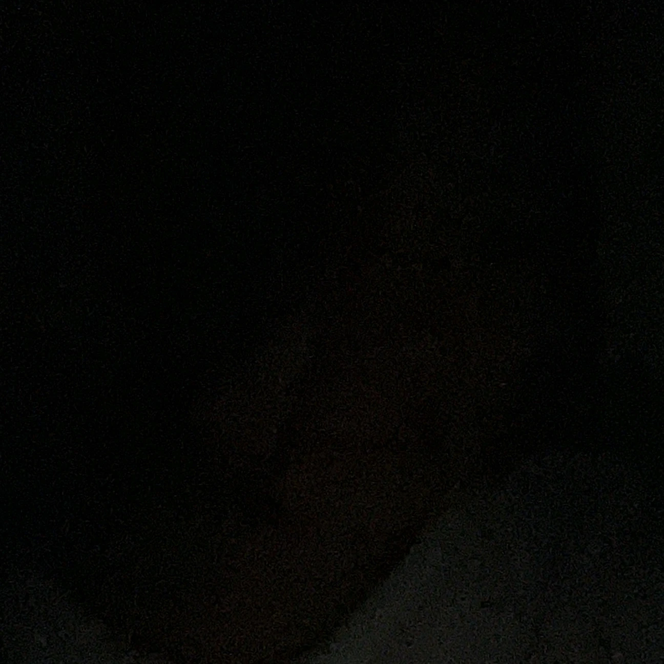 츠시마 슈지