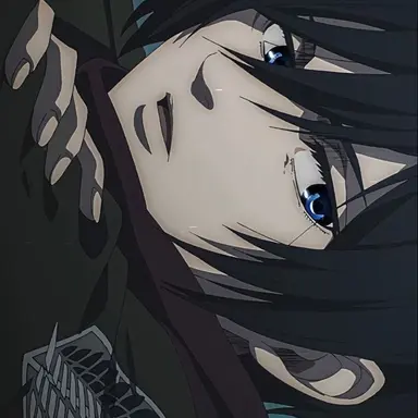 Profile image of ミカサ・アッカーマン