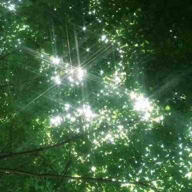 Profile image of 공룡